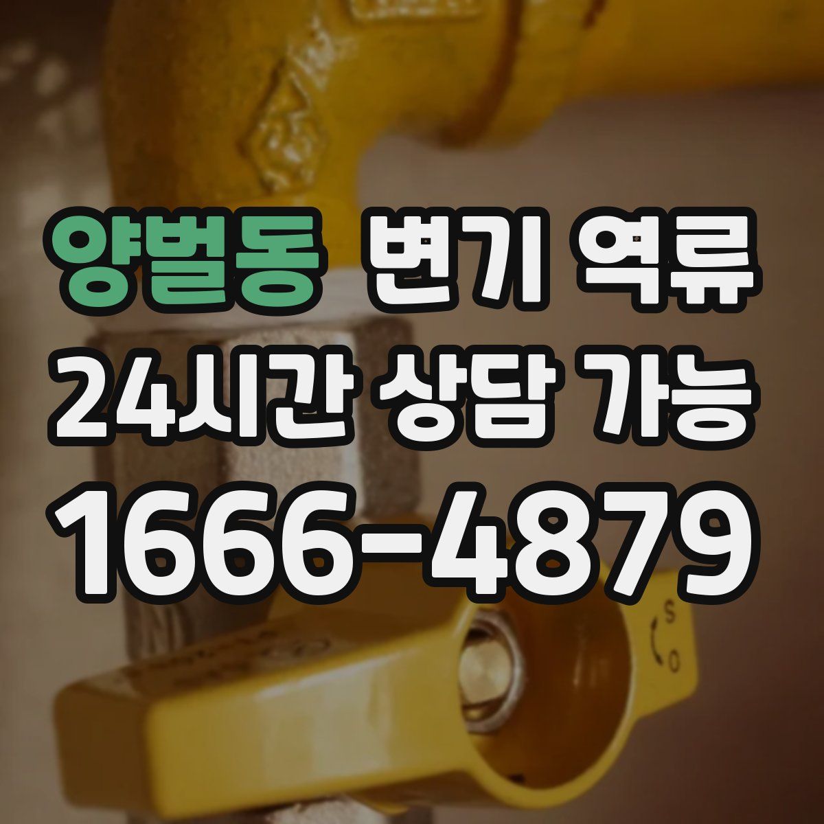 양벌동 변기 역류