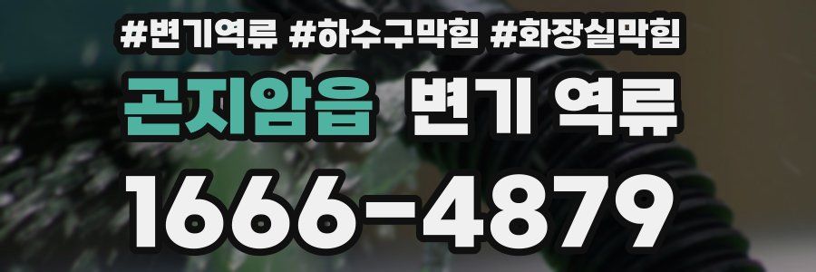 곤지암읍 변기 역류