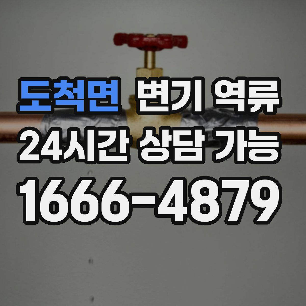 도척면 변기 역류