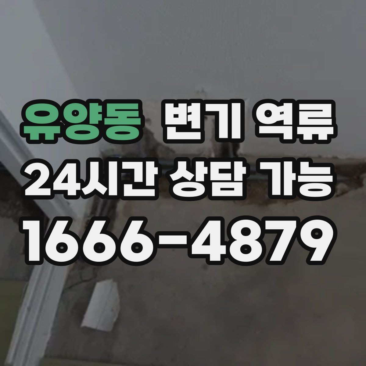 유양동 변기 역류 한 번 넘쳤다면 반드시 점검해야 할 이유