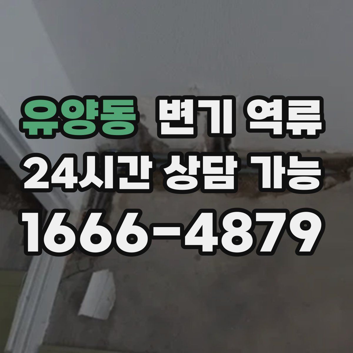 유양동 변기 역류