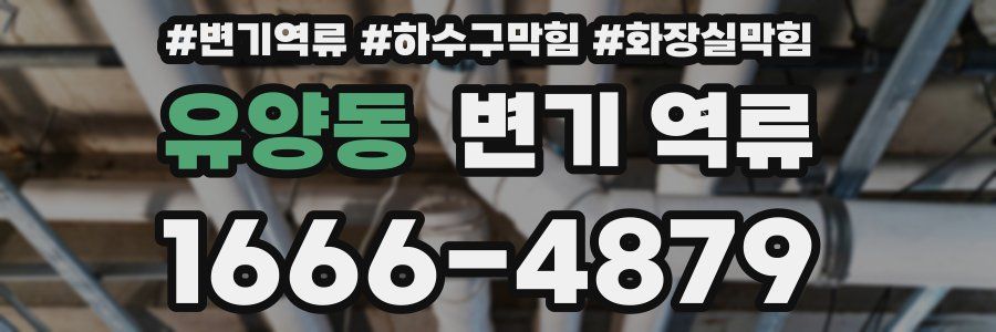 유양동 변기 역류