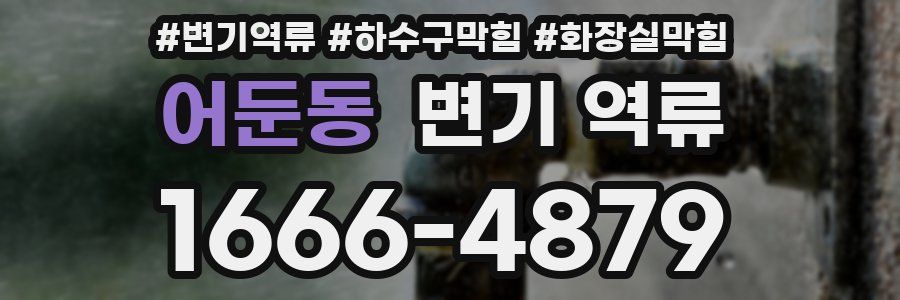 어둔동 변기 역류