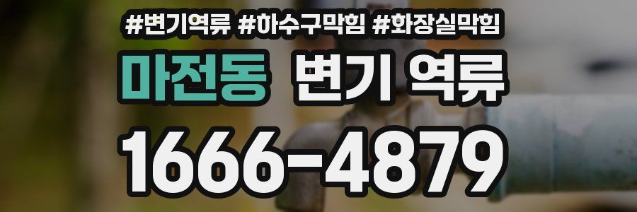 마전동 변기 역류