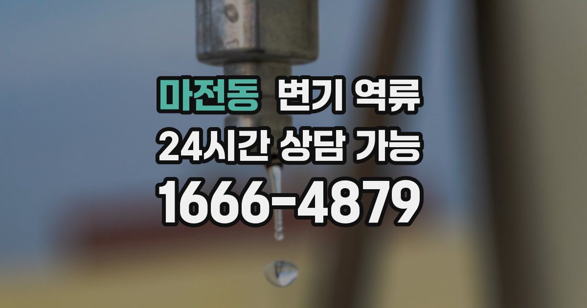 마전동 변기 역류