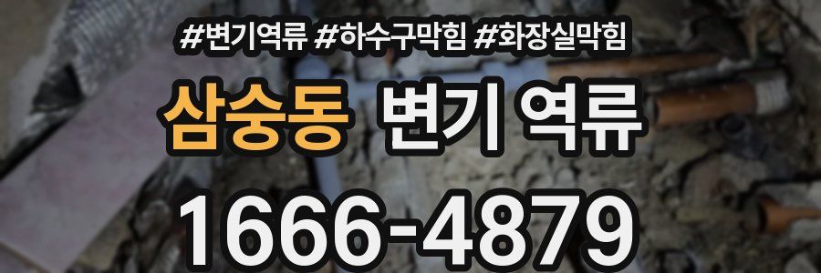 삼숭동 변기 역류