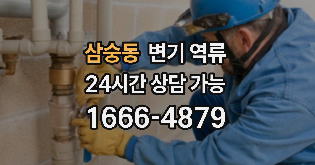 삼숭동 변기 역류