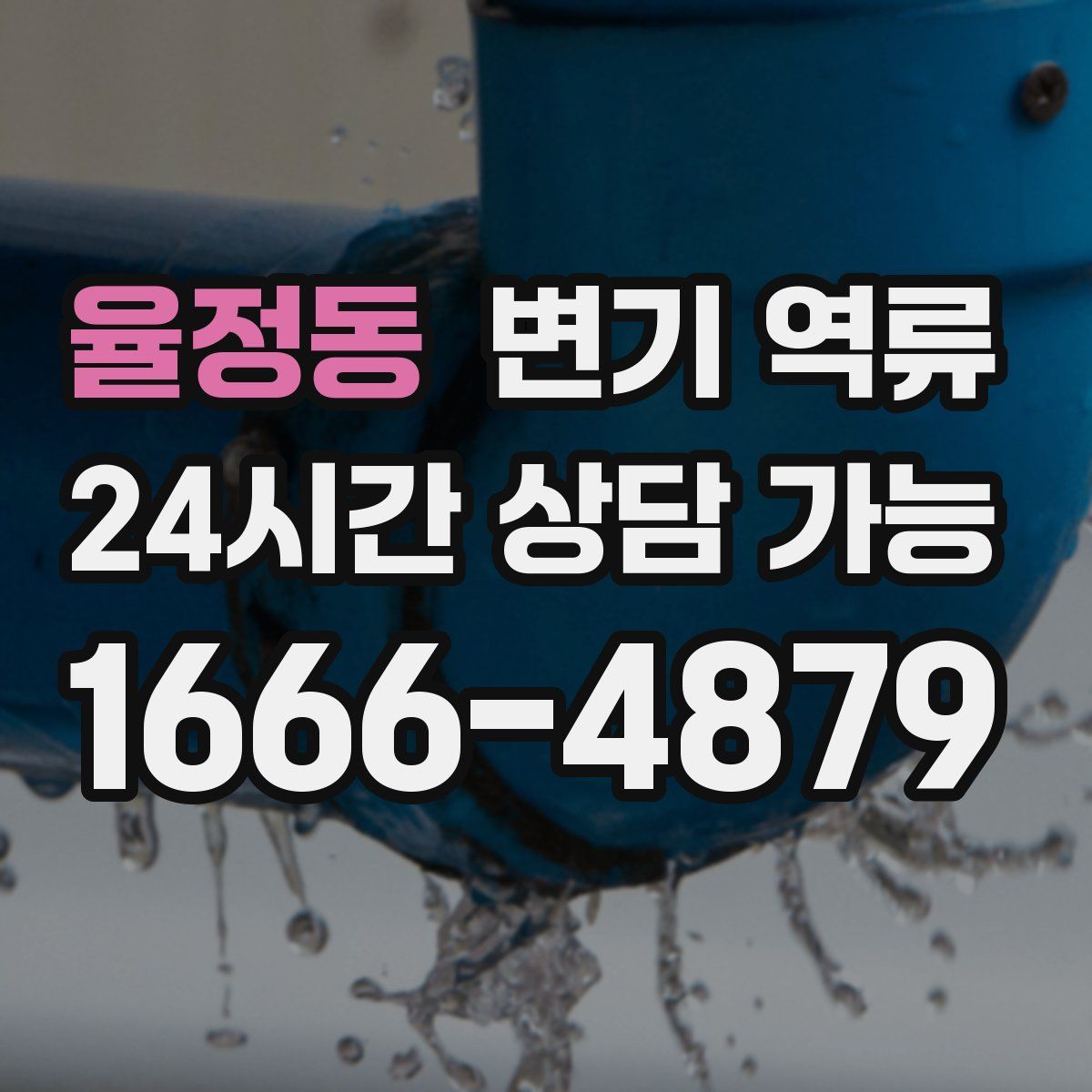 율정동 변기 역류