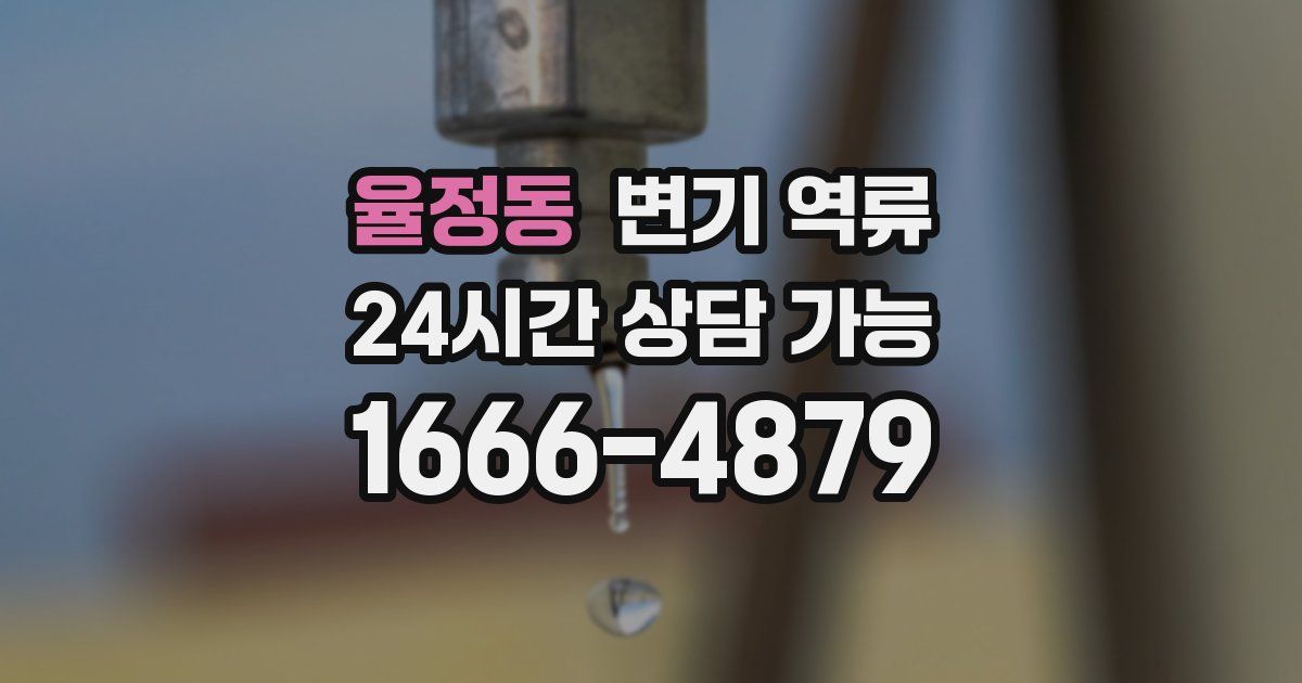 율정동 변기 역류