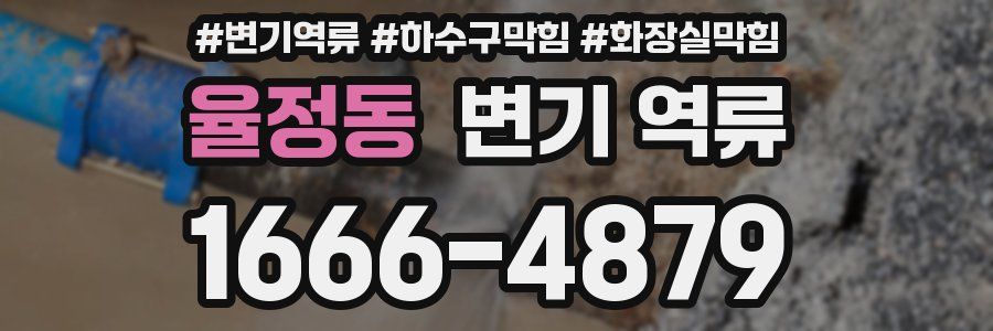 율정동 변기 역류