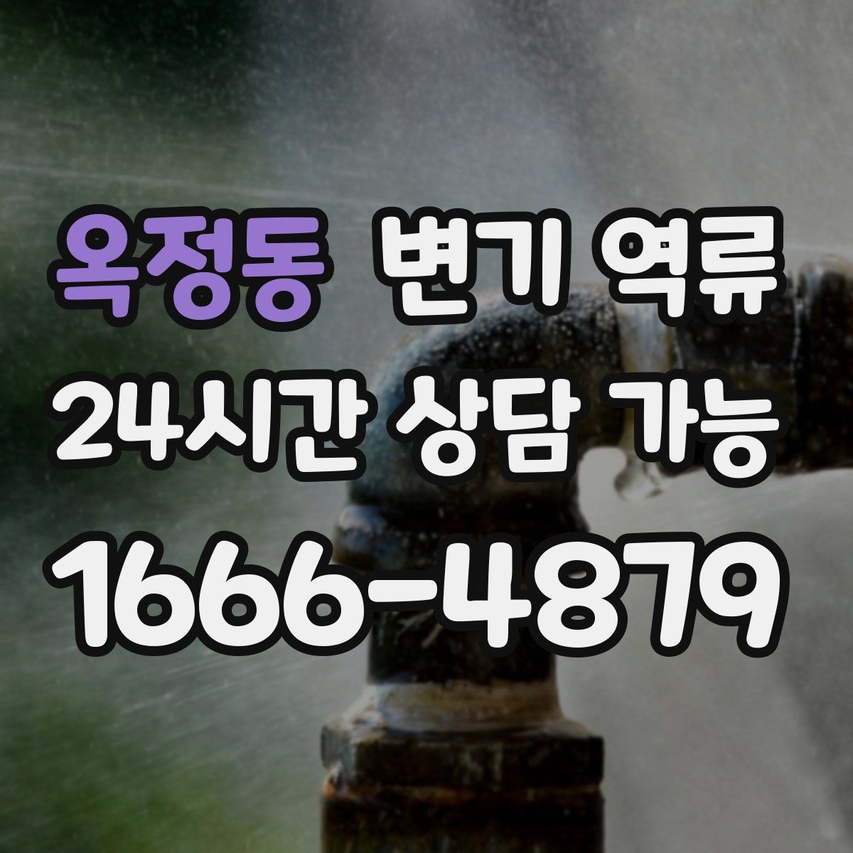 옥정동 변기 역류