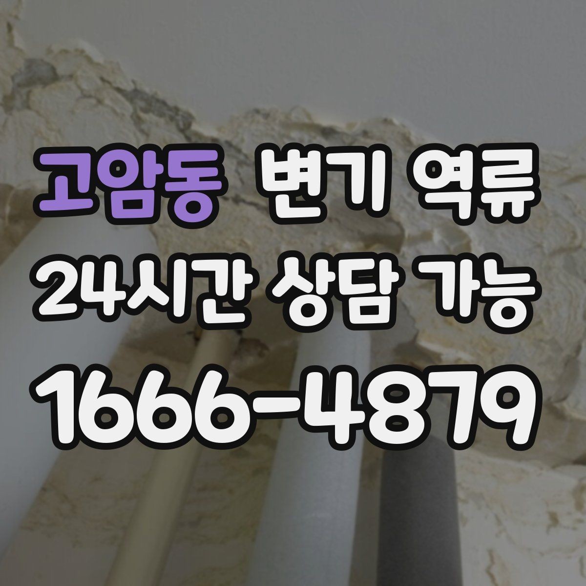 고암동 변기 역류 음식점 화장실에서 생기는 막힘 변기 역류 원인