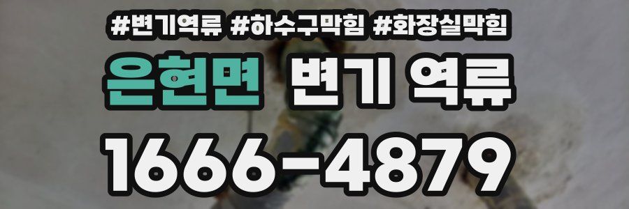 은현면 변기 역류