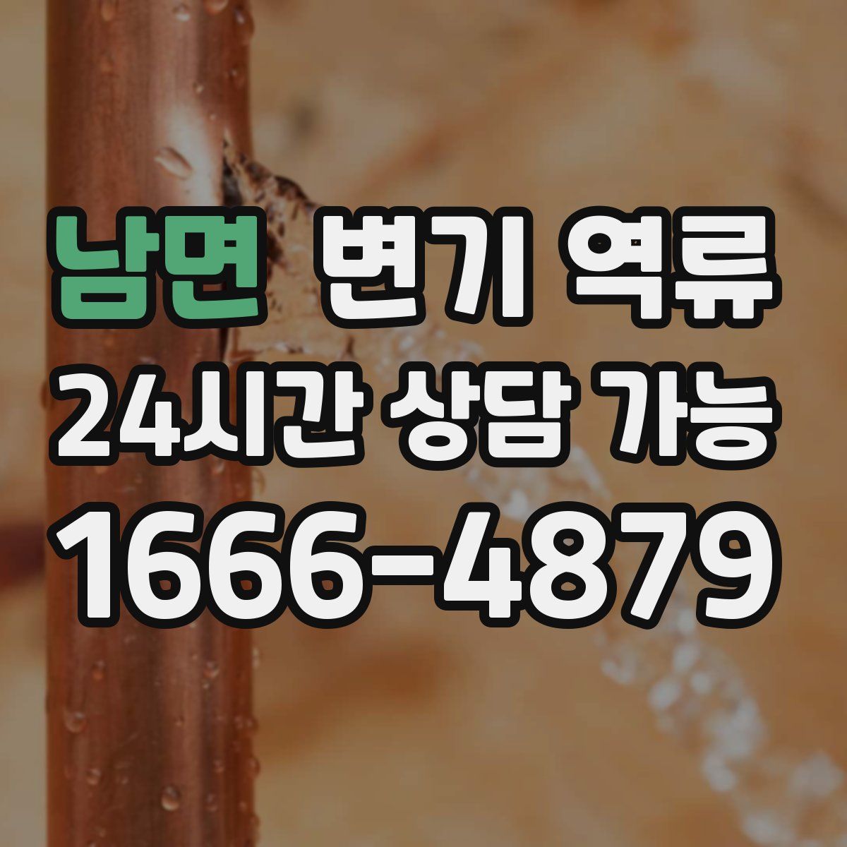 남면 변기 역류