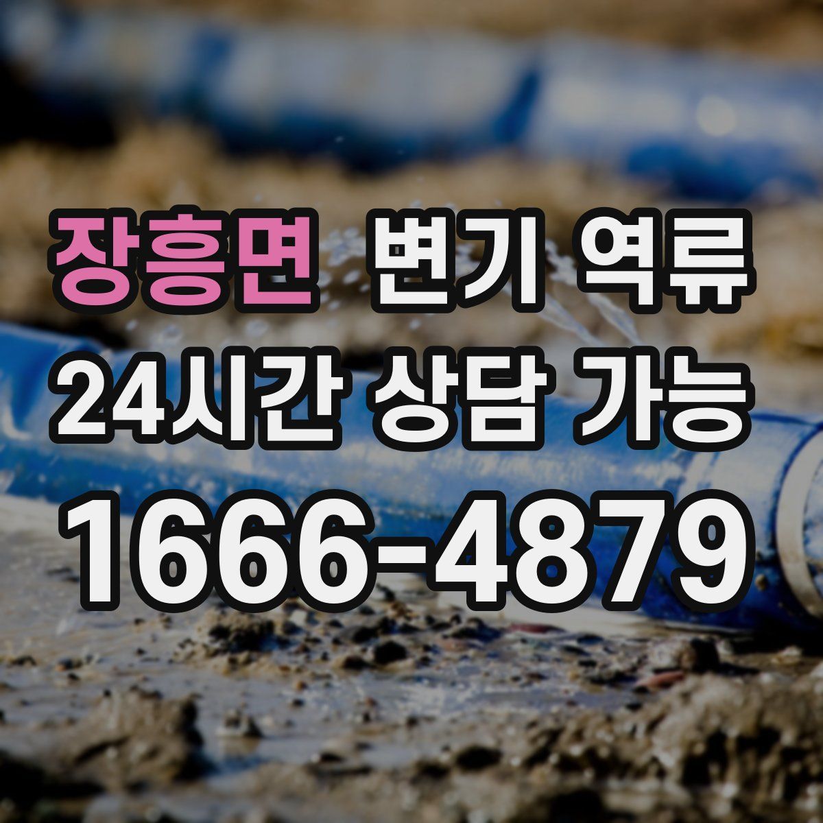 장흥면 변기 역류