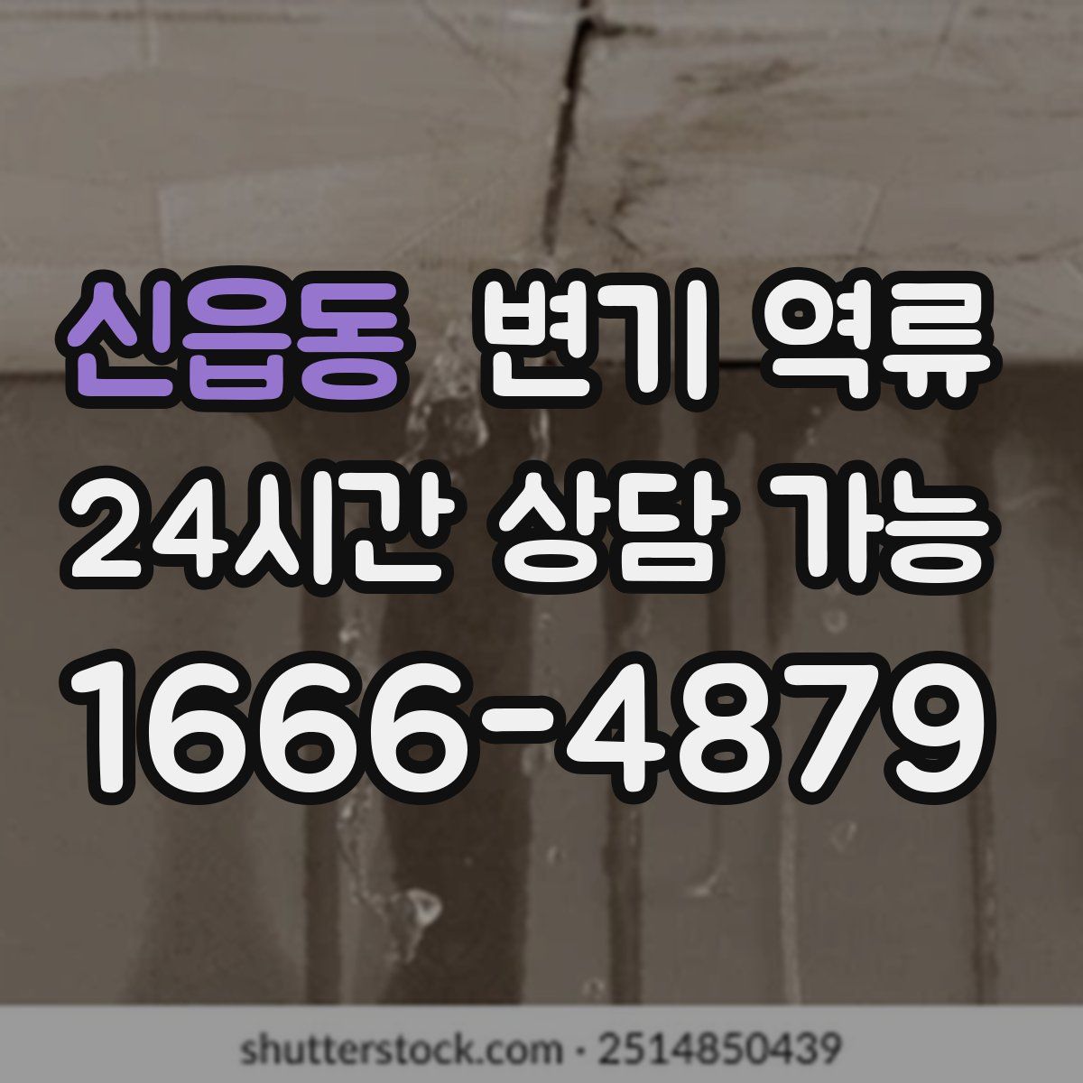 신읍동 변기 역류