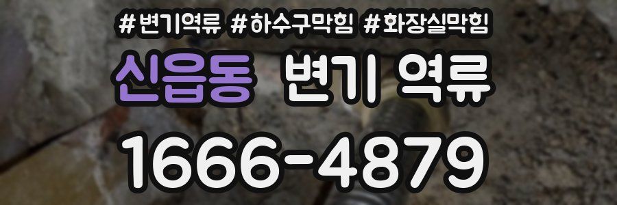 신읍동 변기 역류