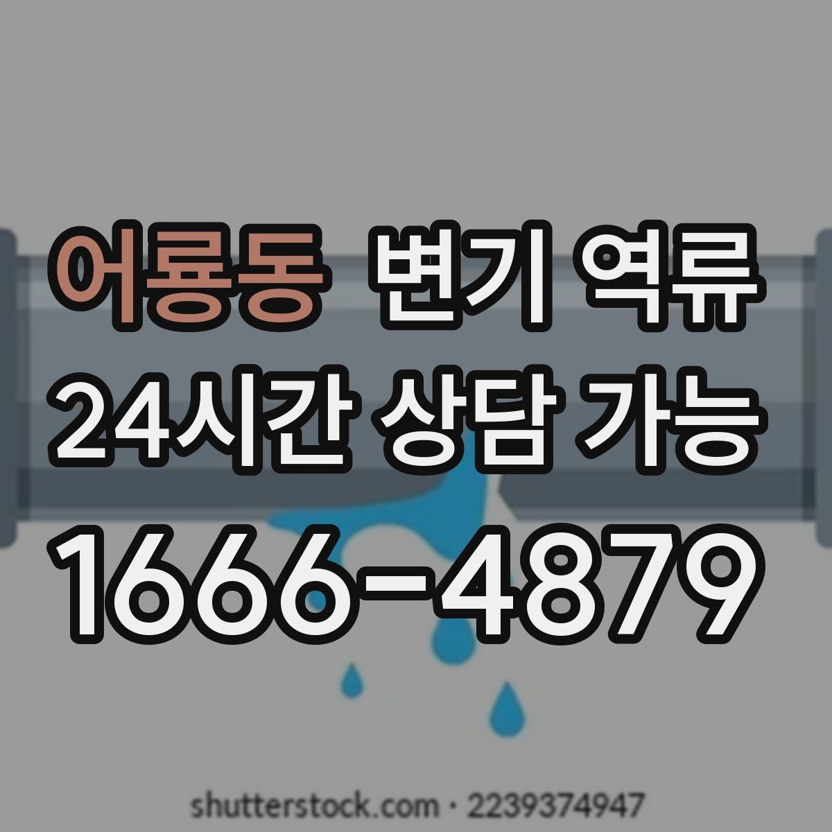 어룡동 변기 역류