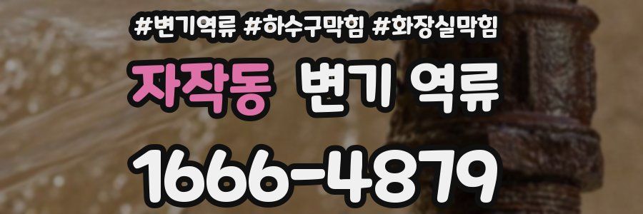 자작동 변기 역류