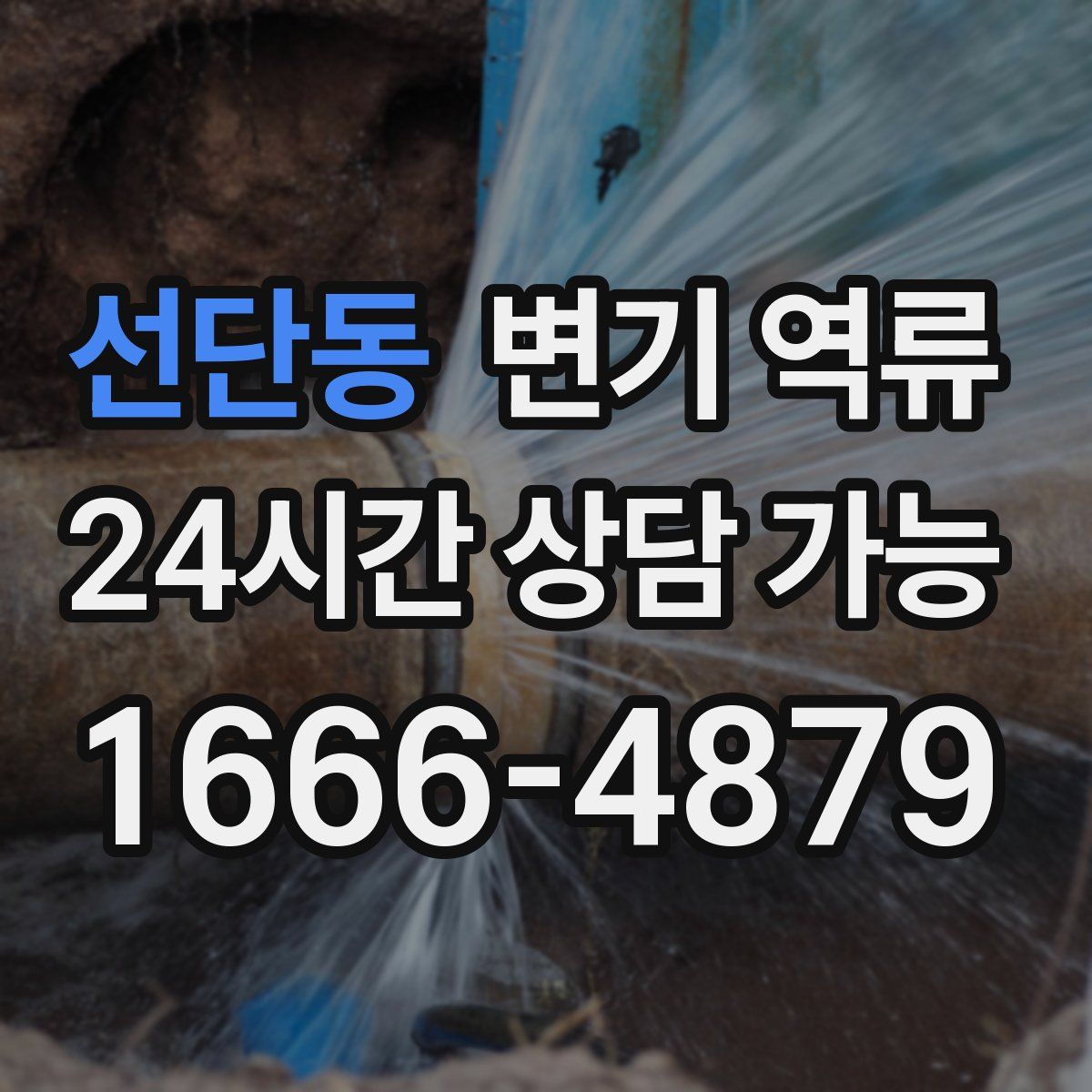 선단동 변기 역류