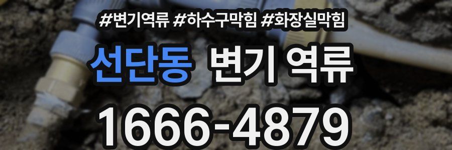 선단동 변기 역류
