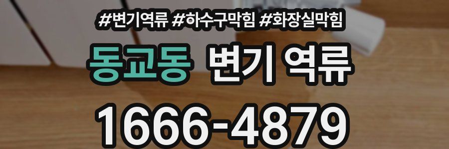 동교동 변기 역류