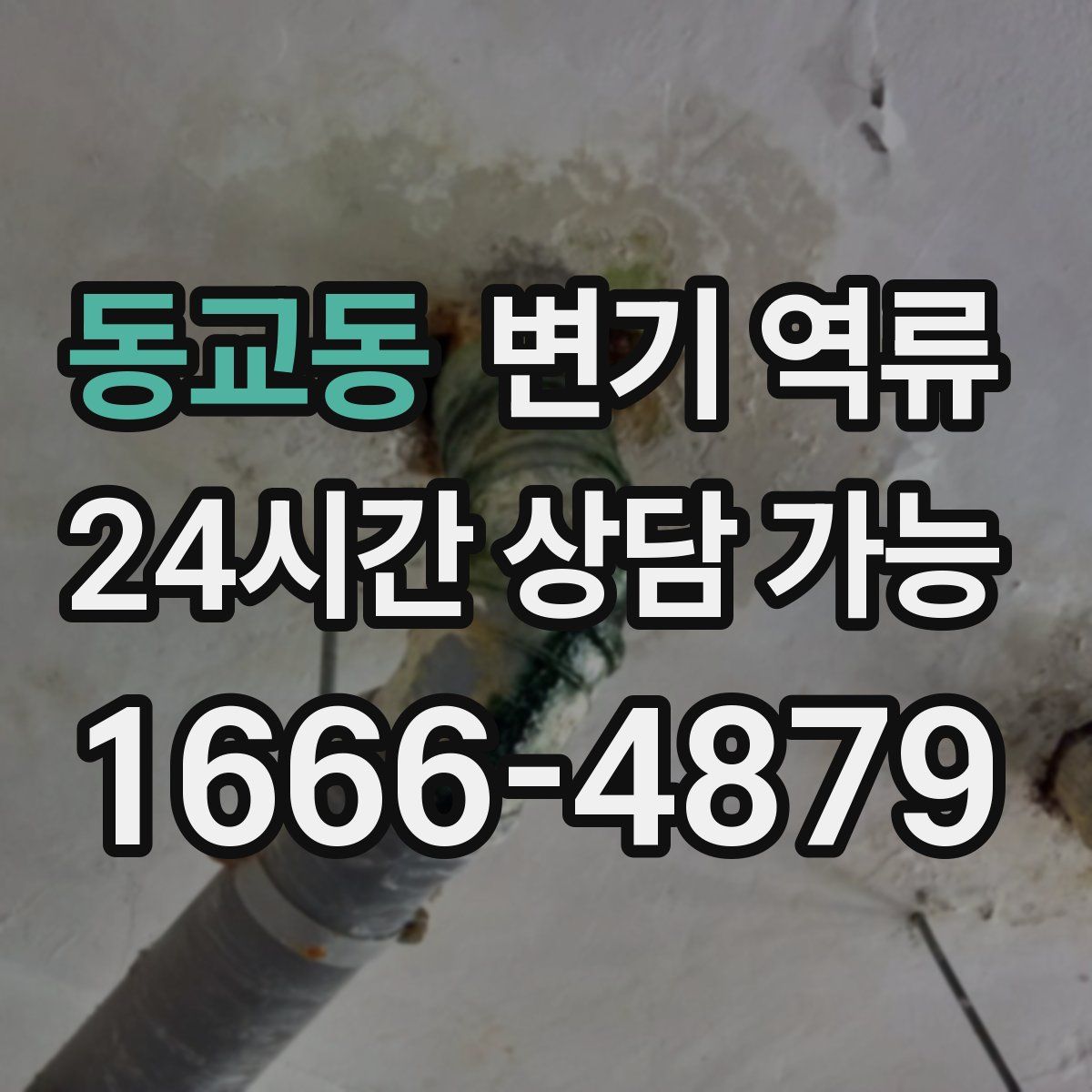 동교동 변기 역류