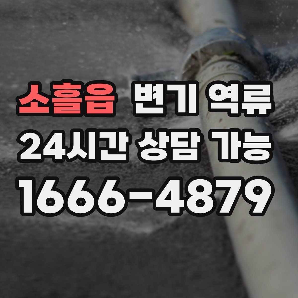 소흘읍 변기 역류 한 번 내렸는데 두 번째에 바로 넘치는 이유