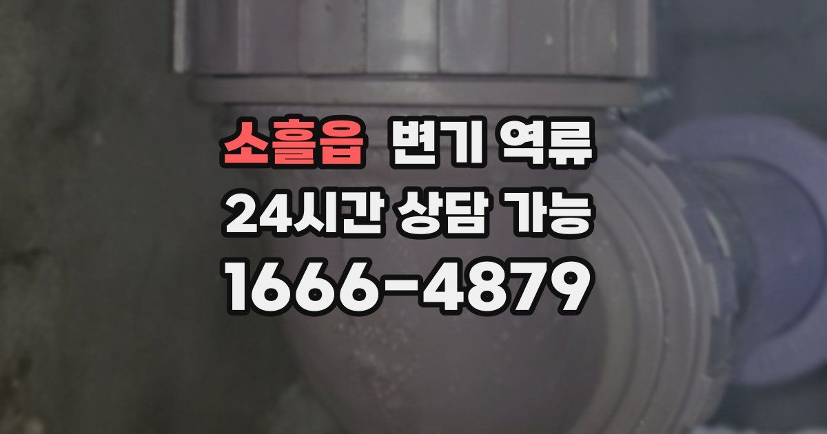 소흘읍 변기 역류