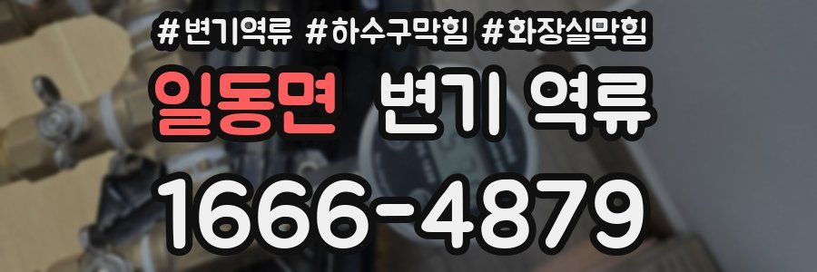 일동면 변기 역류