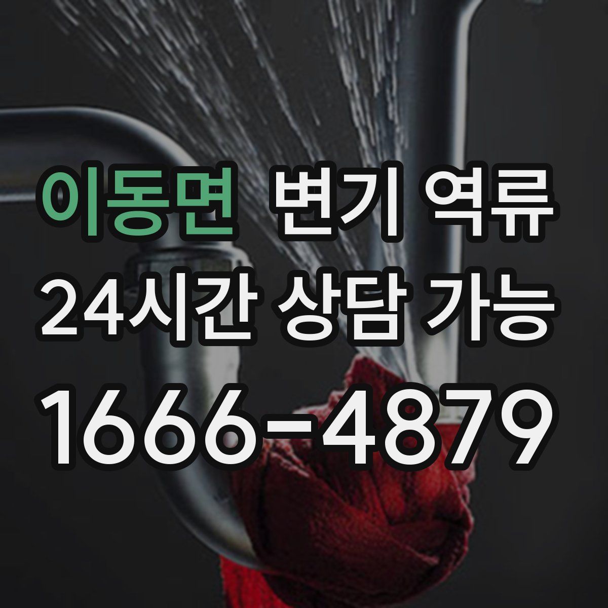 이동면 변기 역류