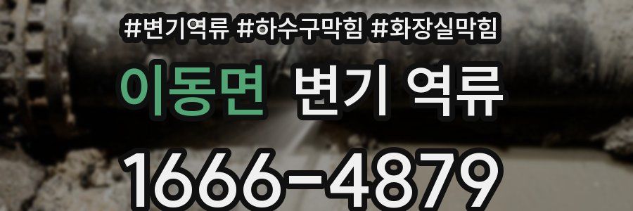 이동면 변기 역류