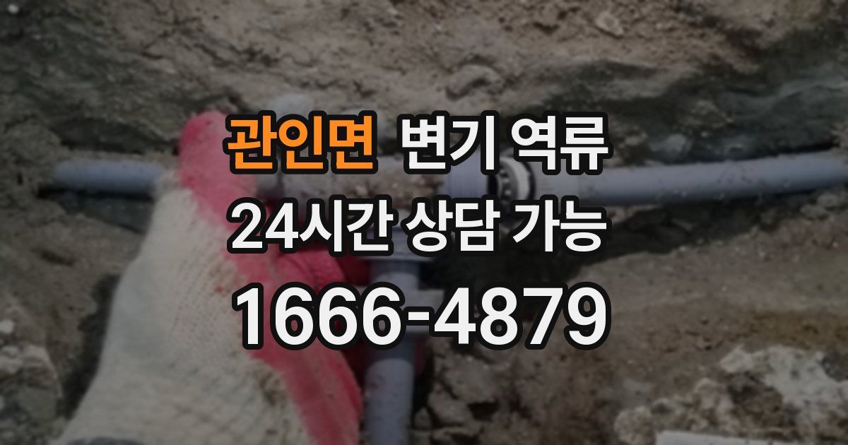 관인면 변기 역류