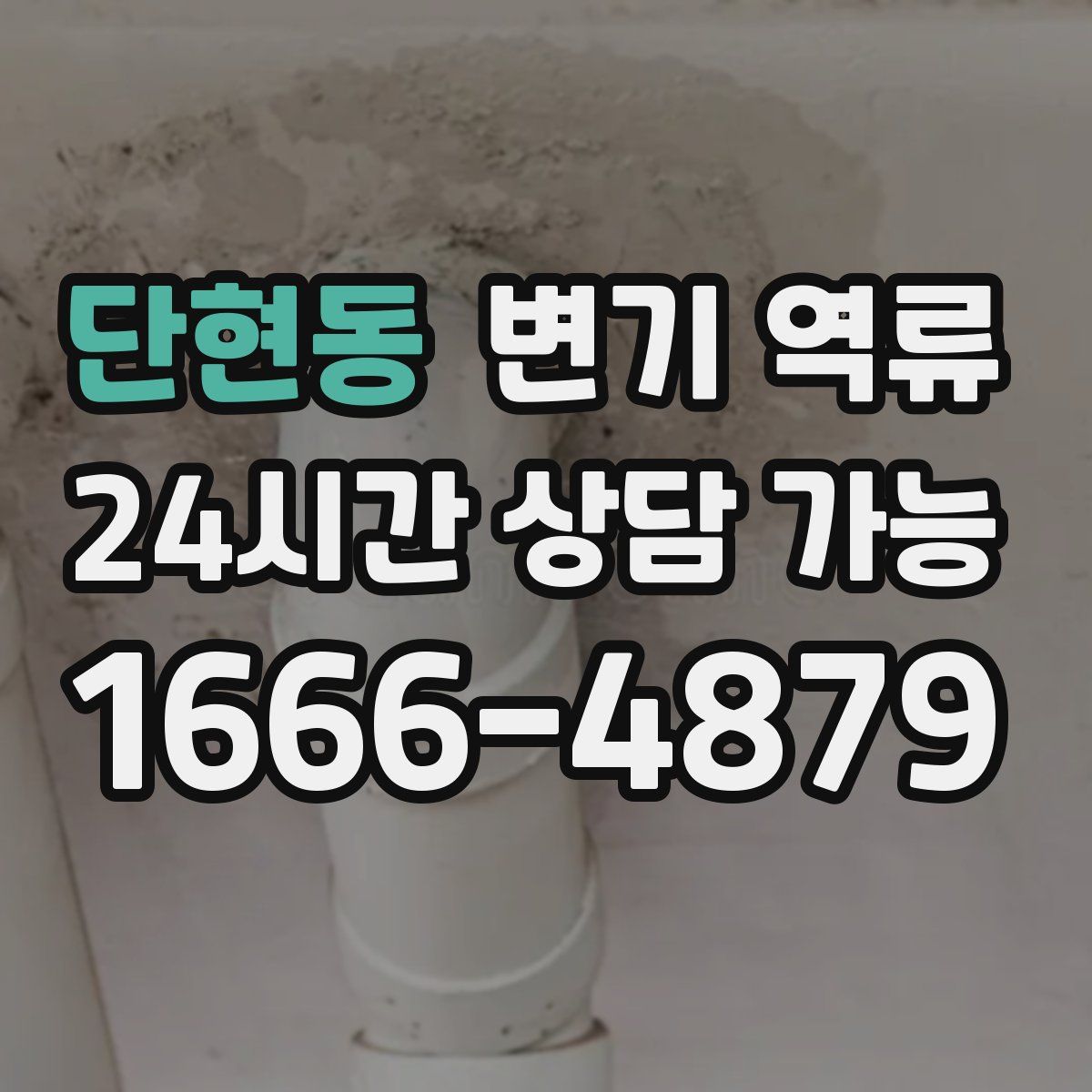 단현동 변기 역류