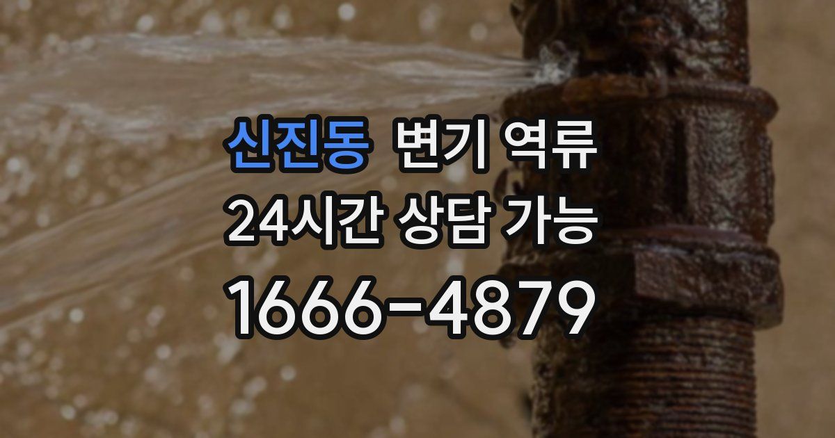 신진동 변기 역류