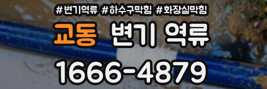 교동 변기 역류