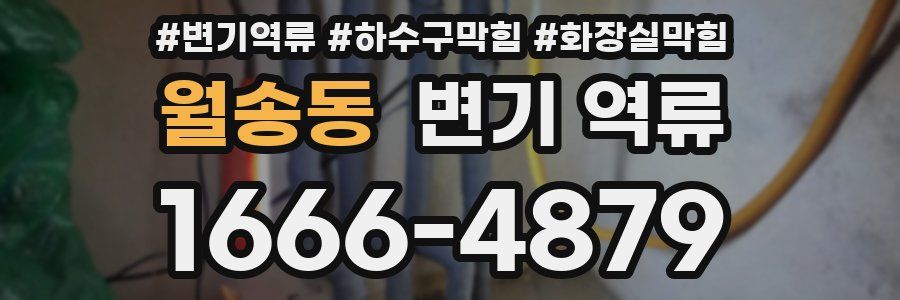 월송동 변기 역류