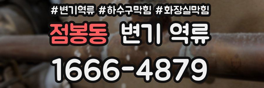 점봉동 변기 역류