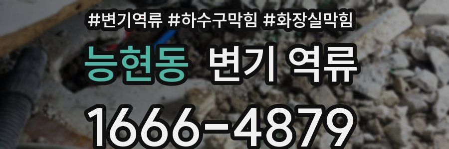 능현동 변기 역류