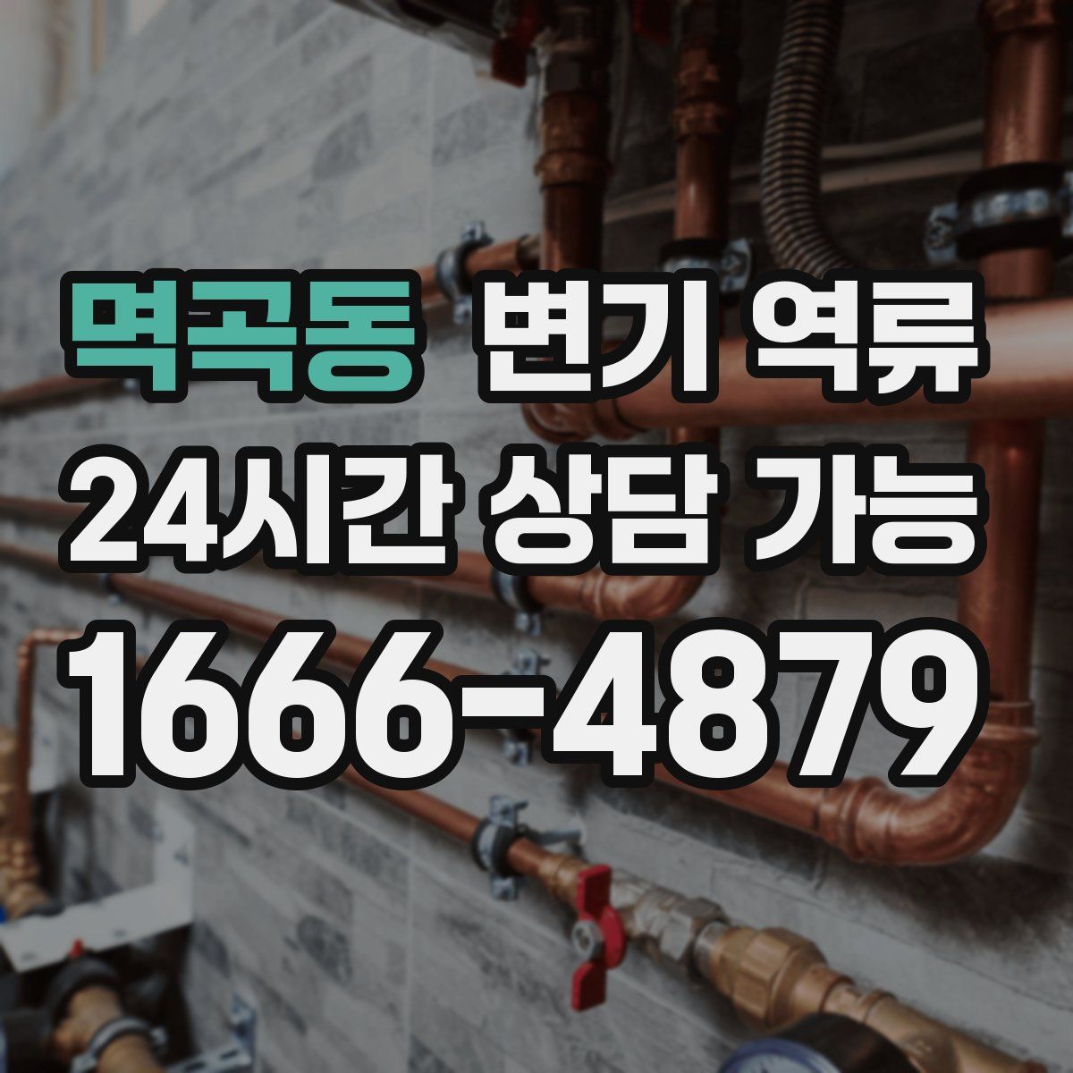 멱곡동 변기 역류