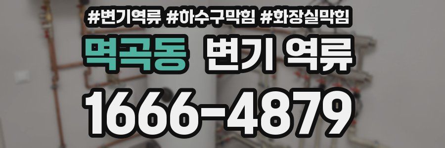 멱곡동 변기 역류