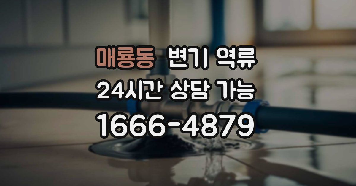 매룡동 변기 역류