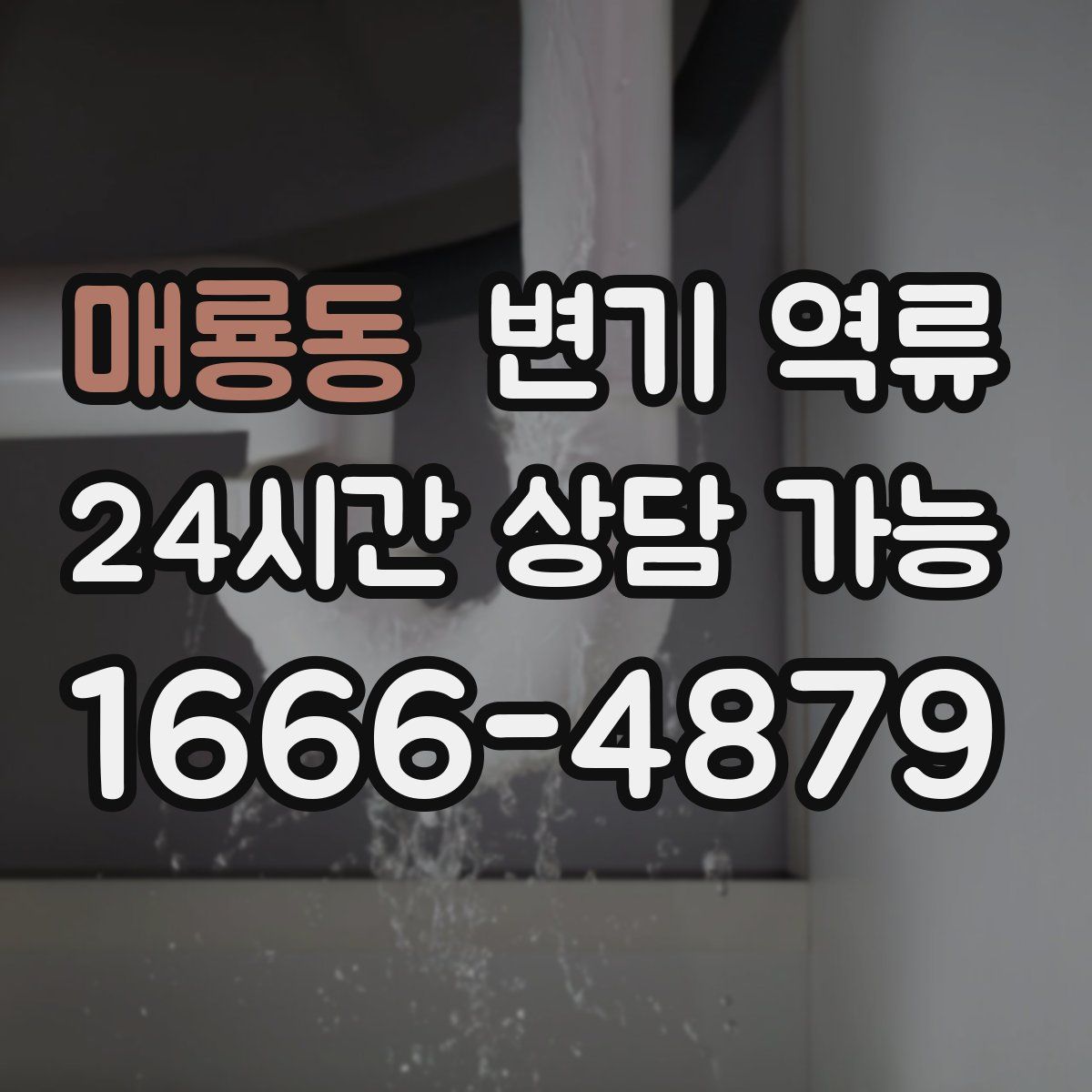 매룡동 변기 역류