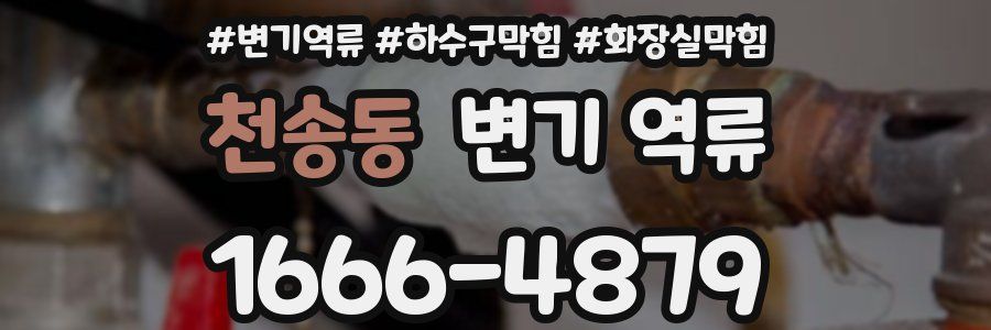 천송동 변기 역류