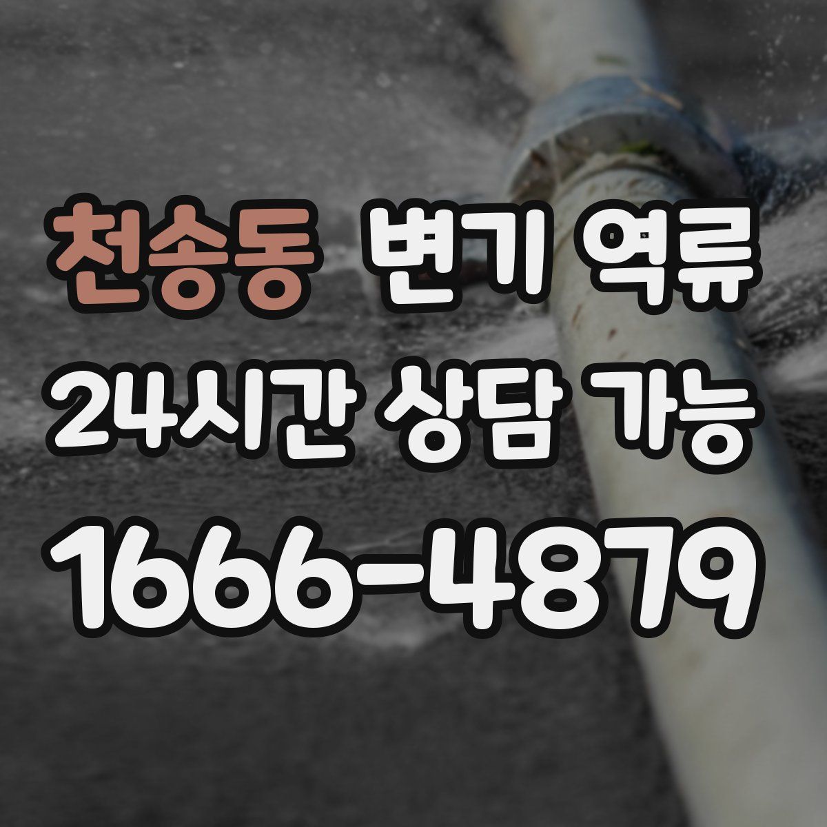 천송동 변기 역류