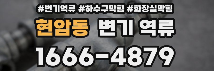 현암동 변기 역류