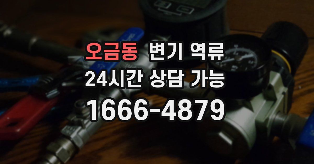 오금동 변기 역류