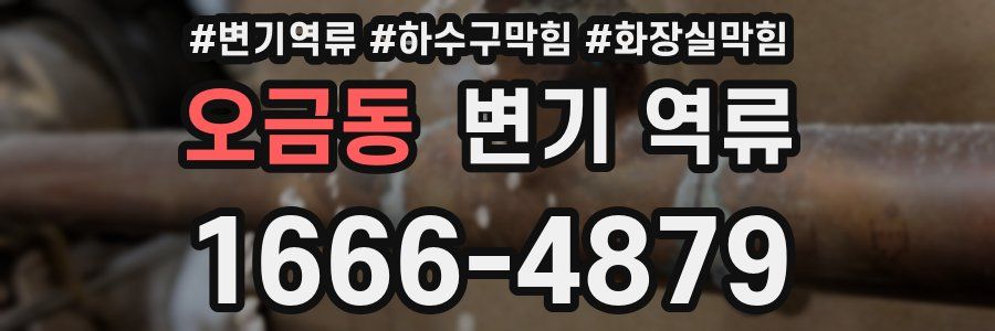 오금동 변기 역류