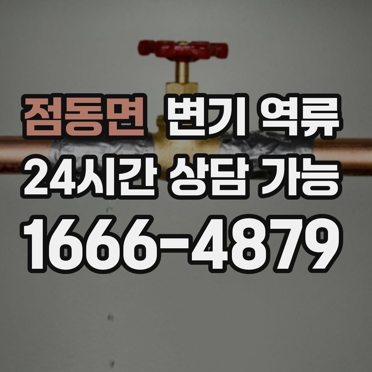 점동면 변기 역류 바닥 오염 범위를 기록해야 하는 이유