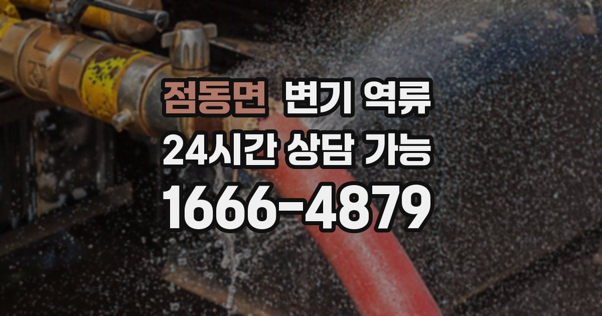 점동면 변기 역류